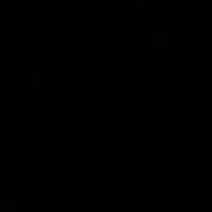 Meet your Posher, Tricia